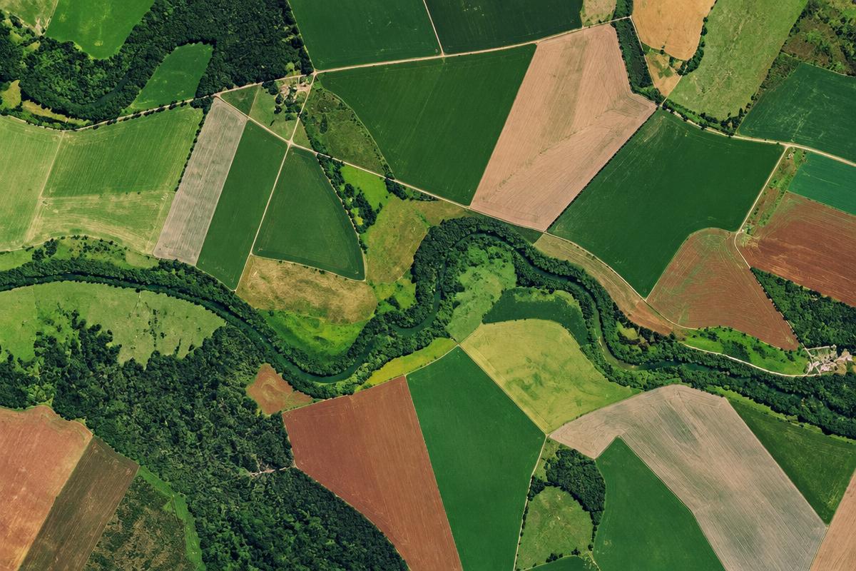 Mosaico aéreo de talhões agrícolas e vegetação nativa